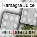 Kamagra Juice 17